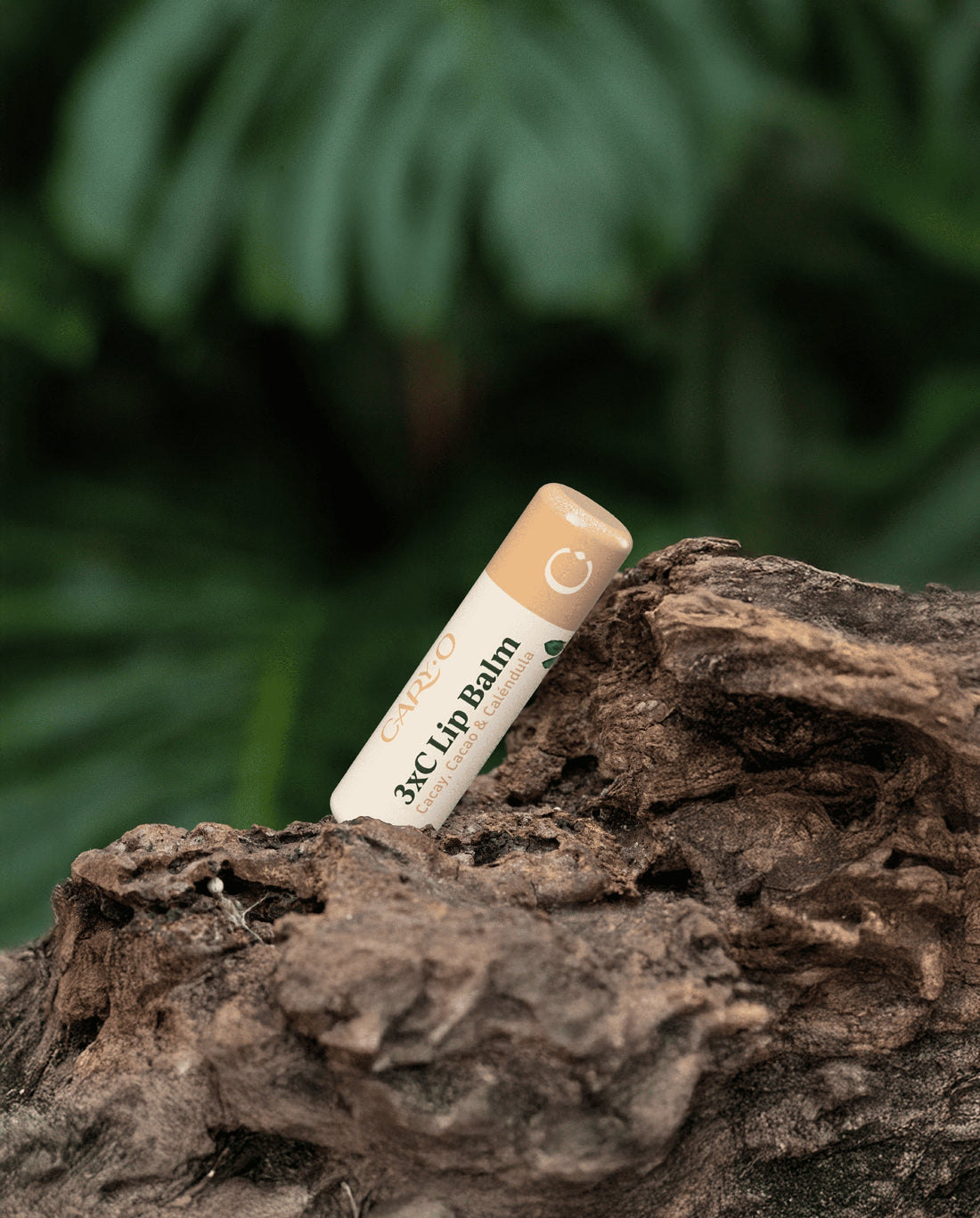 Tratamiento labial con aceite de Cacay: el bálsamo natural que repara, humecta y protege tus labios